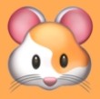18禁视频APP最新版