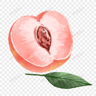 WWW,www77·COM网站APPAPP应用